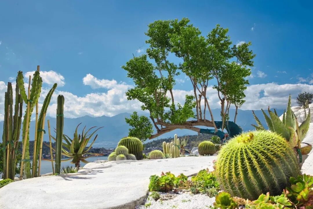 捷仕建筑：打造中国最具影响力的文旅聚落——大理理想邦-195