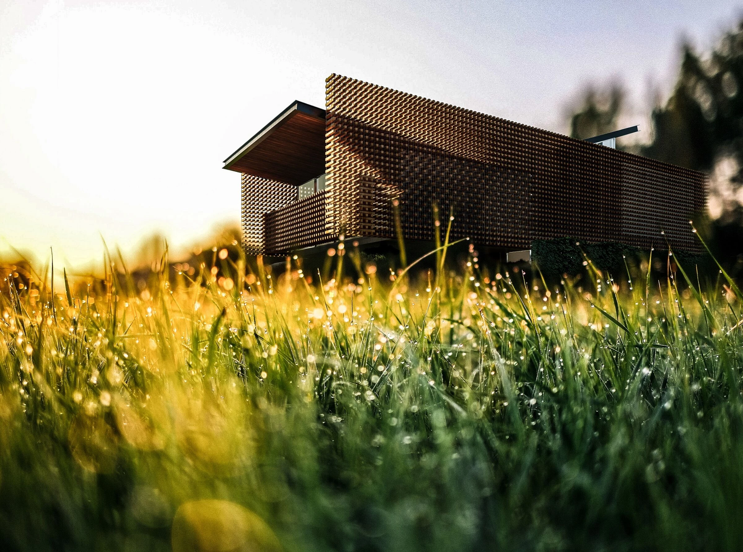 巴西 Aerada House丨巴西圣保罗丨Tetro Arquitetura e Engenharia-15