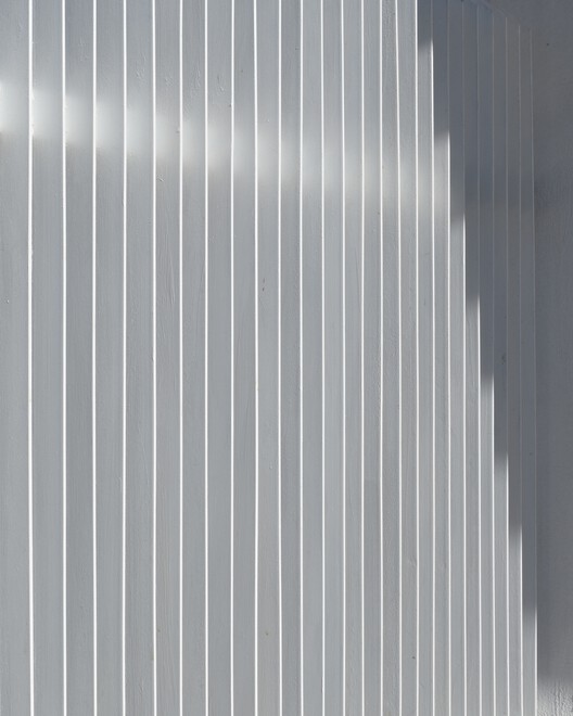 Complejo habitacional y comercial Camellia / Estudio I LZ丨墨西哥-18