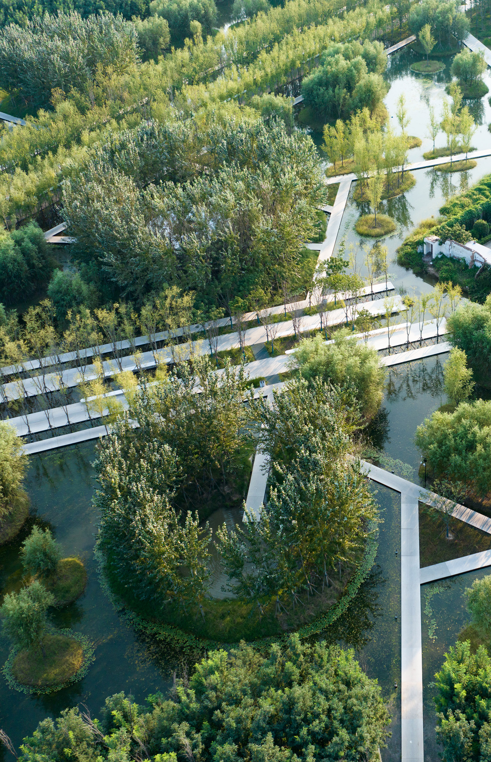 周口淮阳伏羲文化公园丨中国周口丨土人设计-27