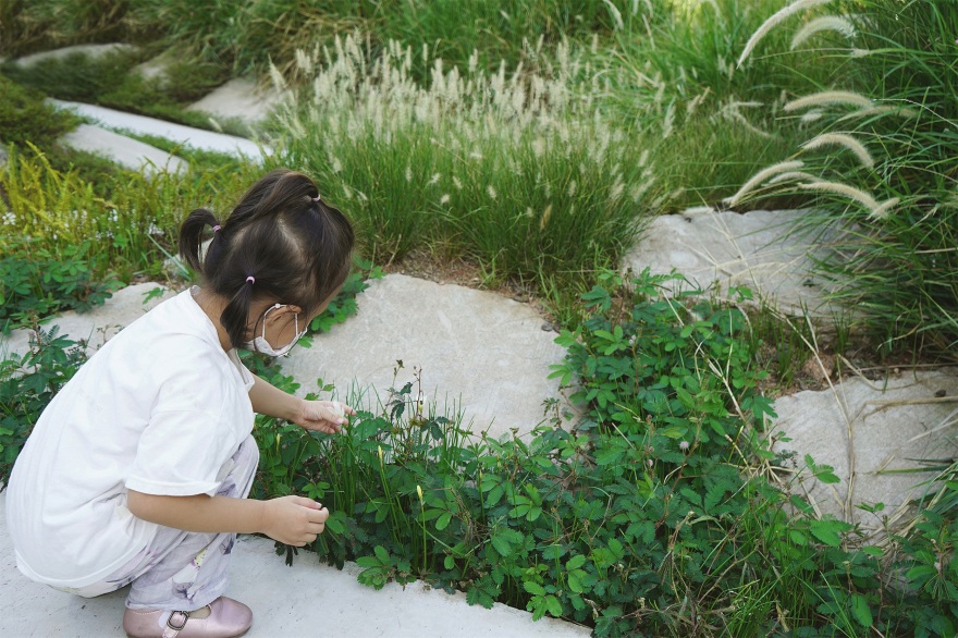废弃地重生 · 深圳梅丰社区公园激活社区生活丨深圳自组空间-35