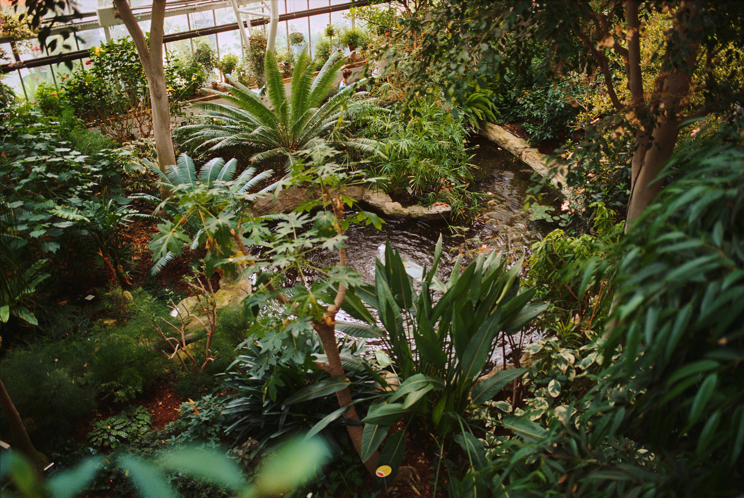 巴比肯温室丨英国伦敦-42