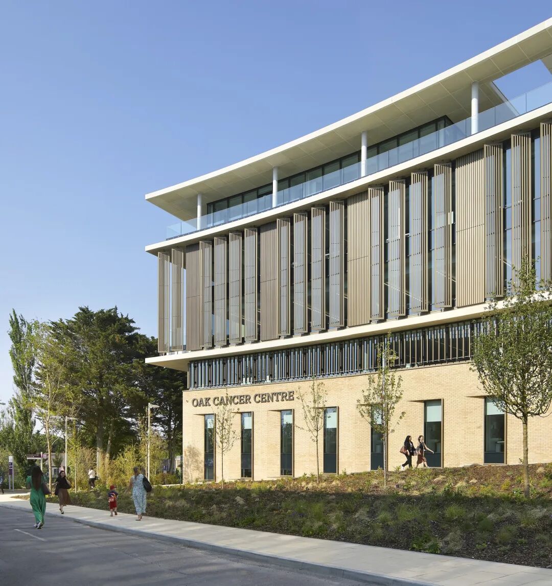 英国橡树癌症中心丨BDP百殿建筑设计-3