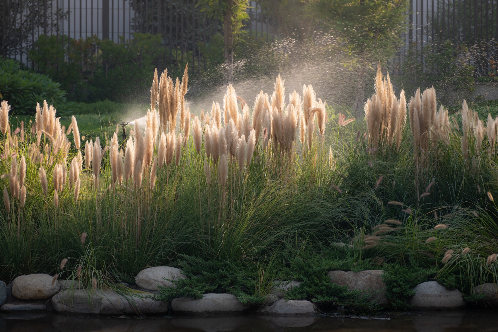 生态西川 · 郑州公园的绿色复兴丨中国郑州丨翰祥景观-40