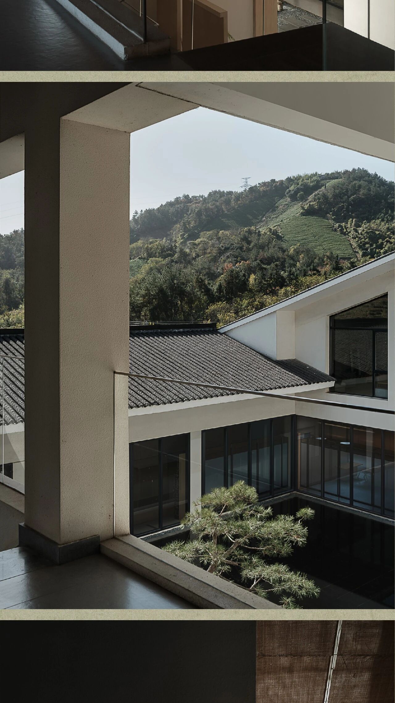 春山在望  溧阳天目湖玉枝茶场 茶语山房-48