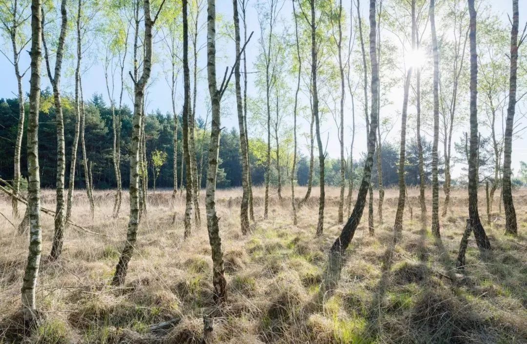 万科·成都天府-39