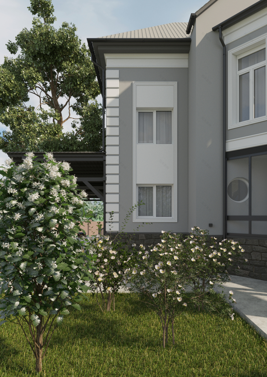 带附属建筑的乡村住宅外立面设计-16