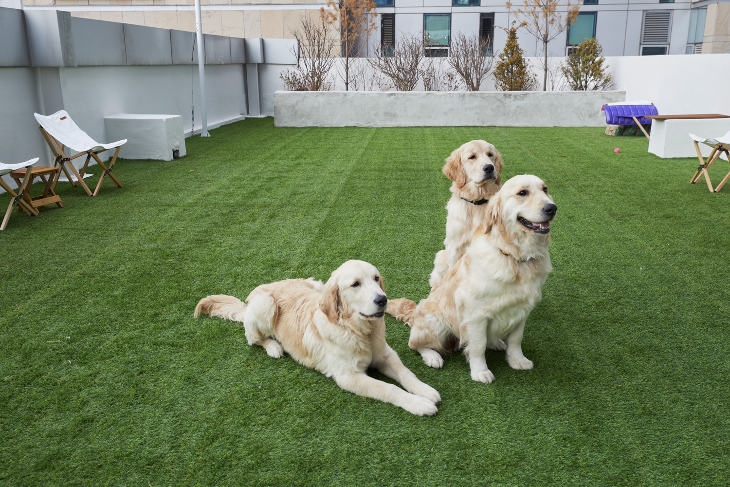 韩国白色&木色现代办公室设计-21