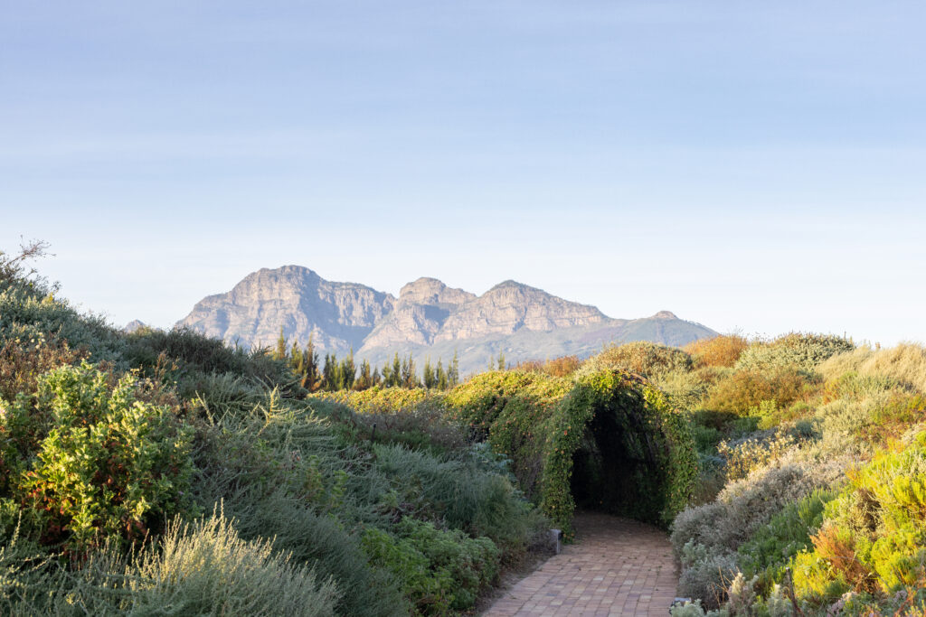 Green School South Africa - Arkitera-13