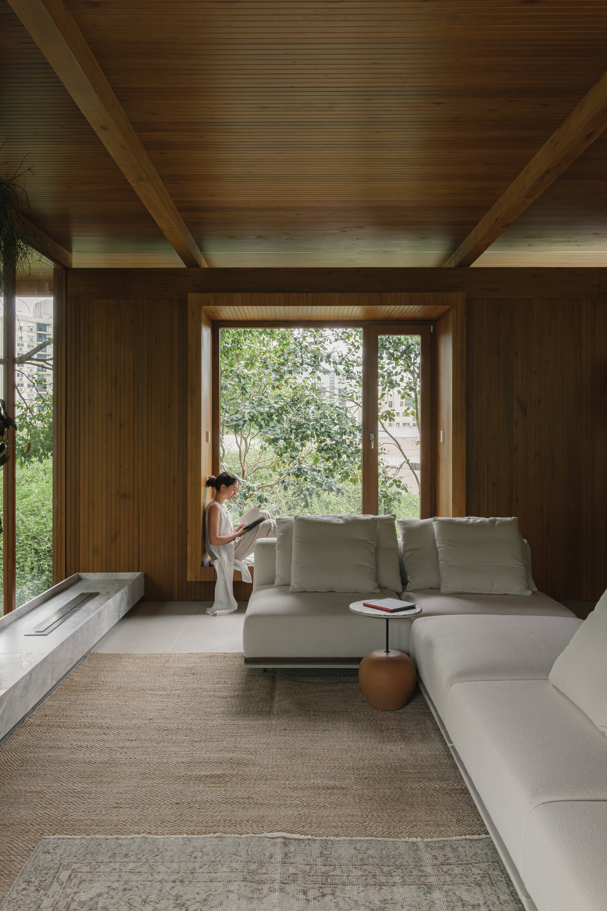 丨巴西丨NV Arquitetura-16