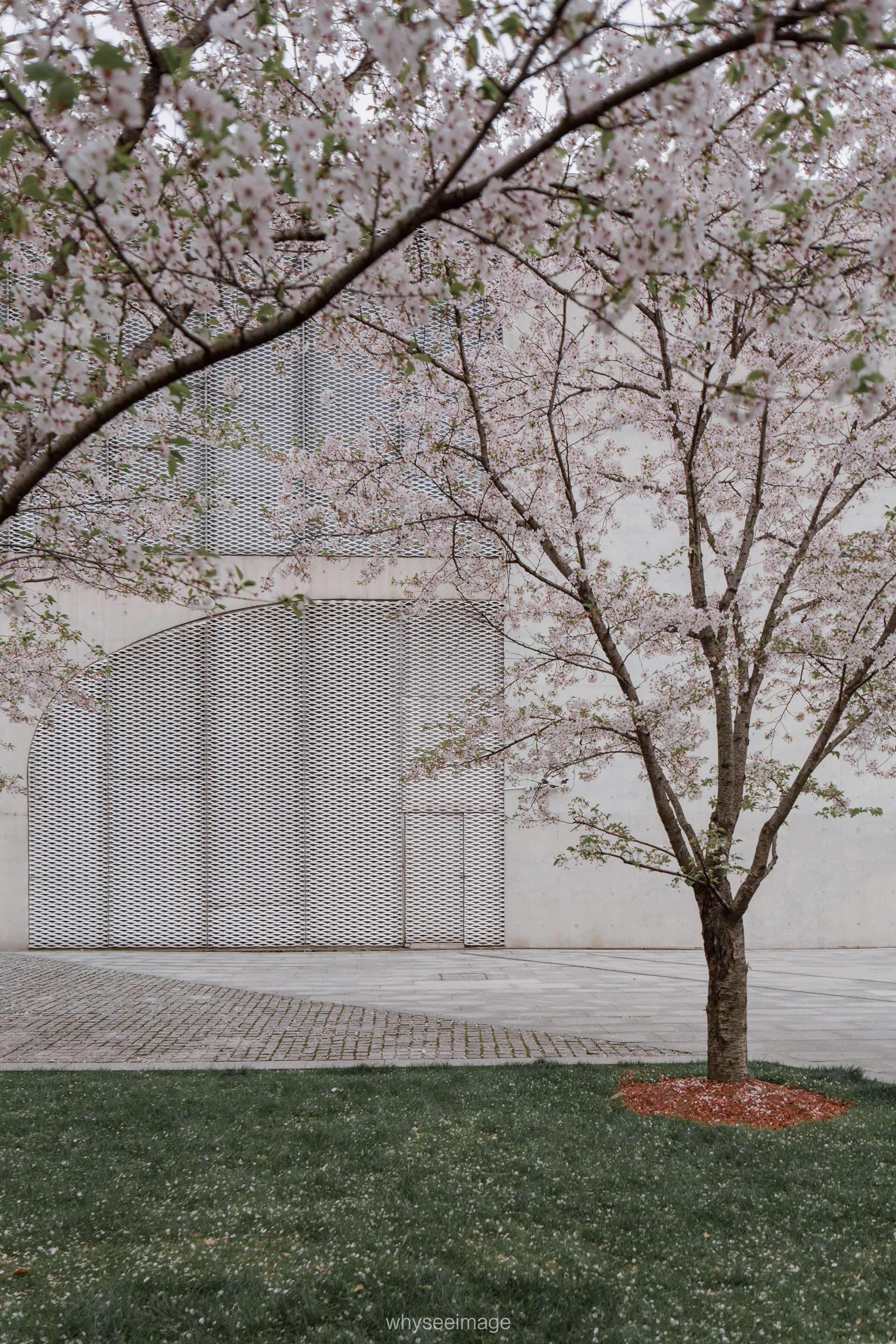 樱花+龙美术馆丨中国上海丨大舍建筑设计工作室-31