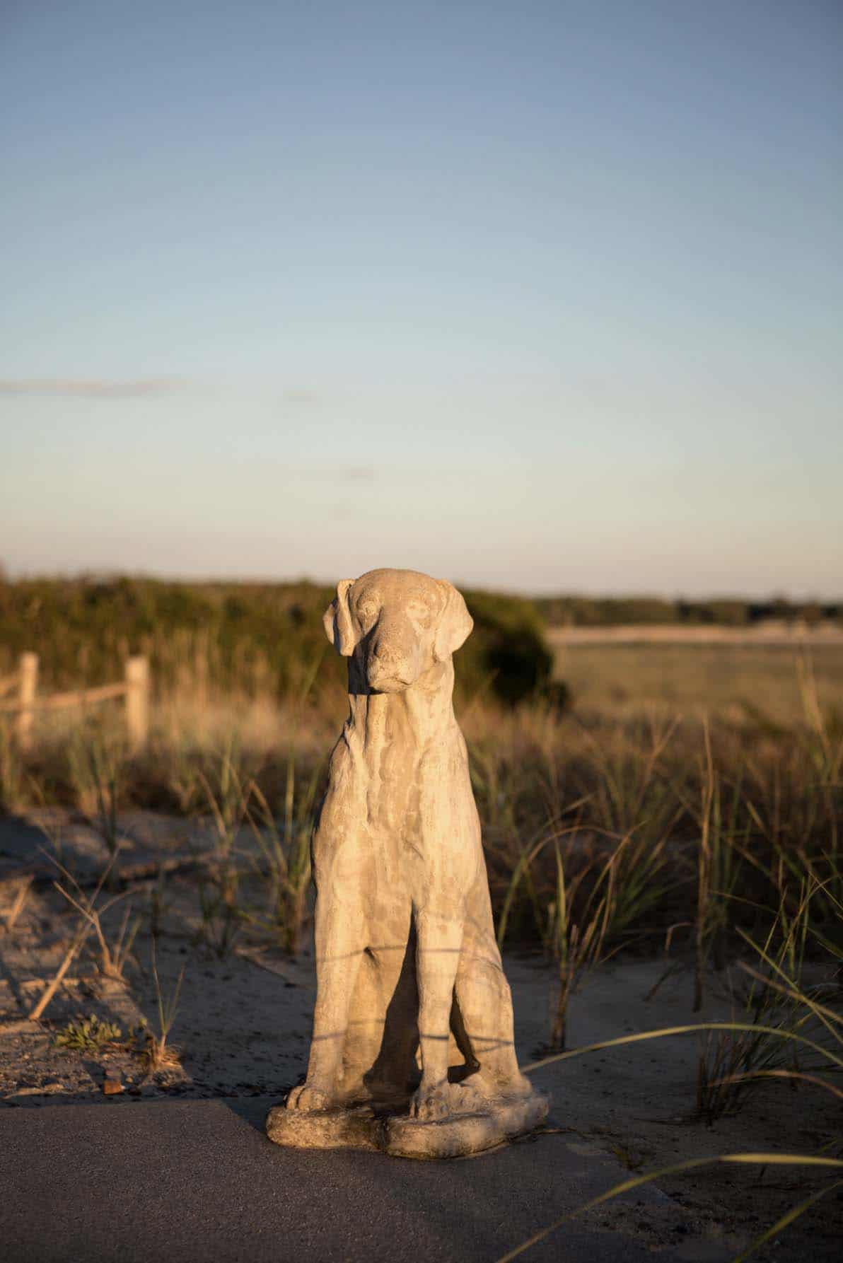 A Maine home boasts sustainable living in a serene coastal setting-12