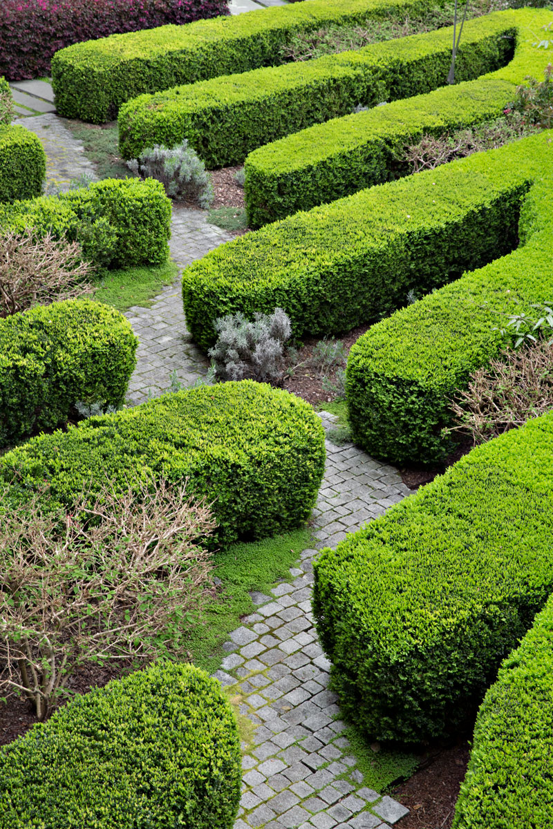 艺术之园丨中国金山-3