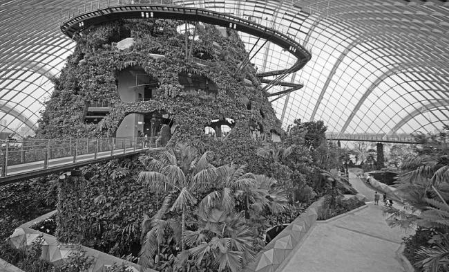 新加坡滨海湾南公园温室丨Wilkinson Eyre Architects（英国）-30