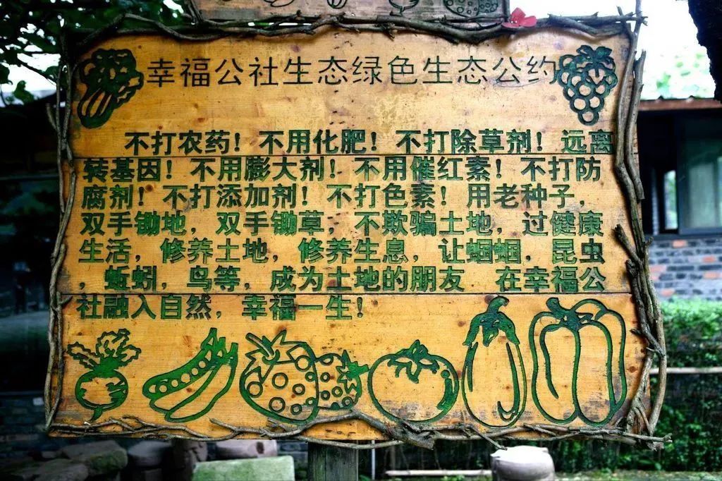 成都幸福公社 · 乡村里的幸福设计丨中国成都-35