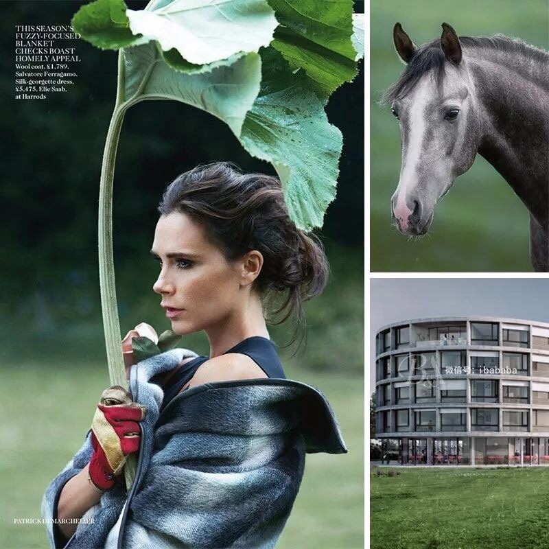 高级灰+绿色，自然派氧气空间：撩人上演都市新优雅-7