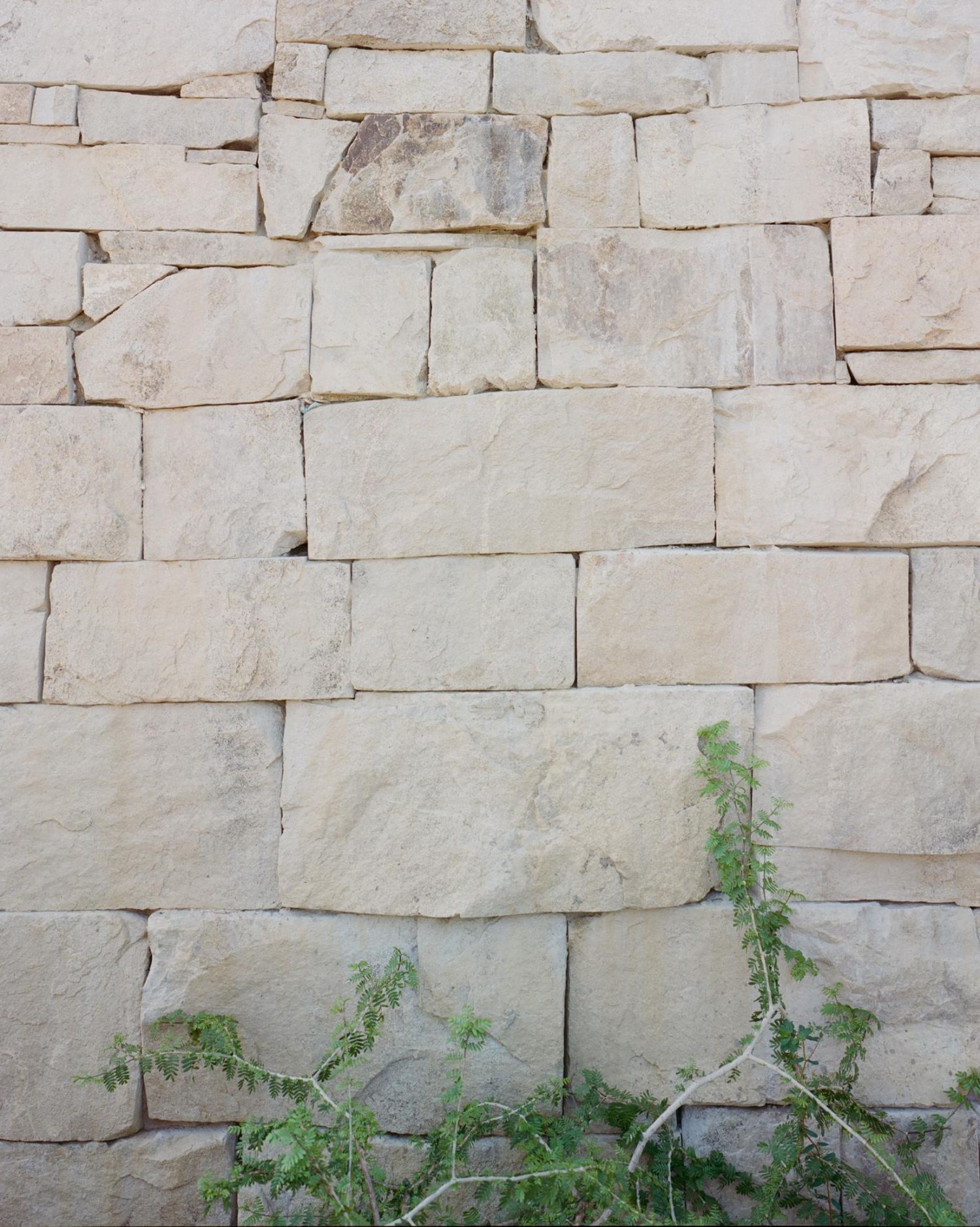 Meridiano 画廊丨墨西哥瓦哈卡丨Axel Vervoordt,Tatsuro Miki-26