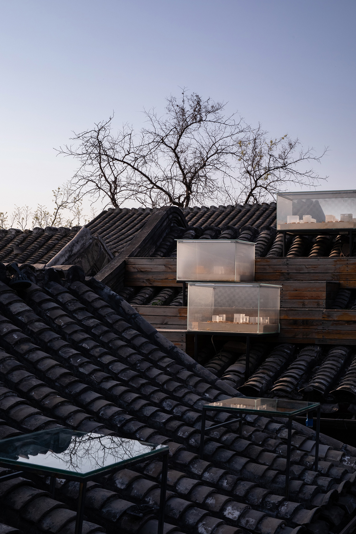 鼓楼7号院改造丨中国北京丨BUZZ庄子玉工作室-59