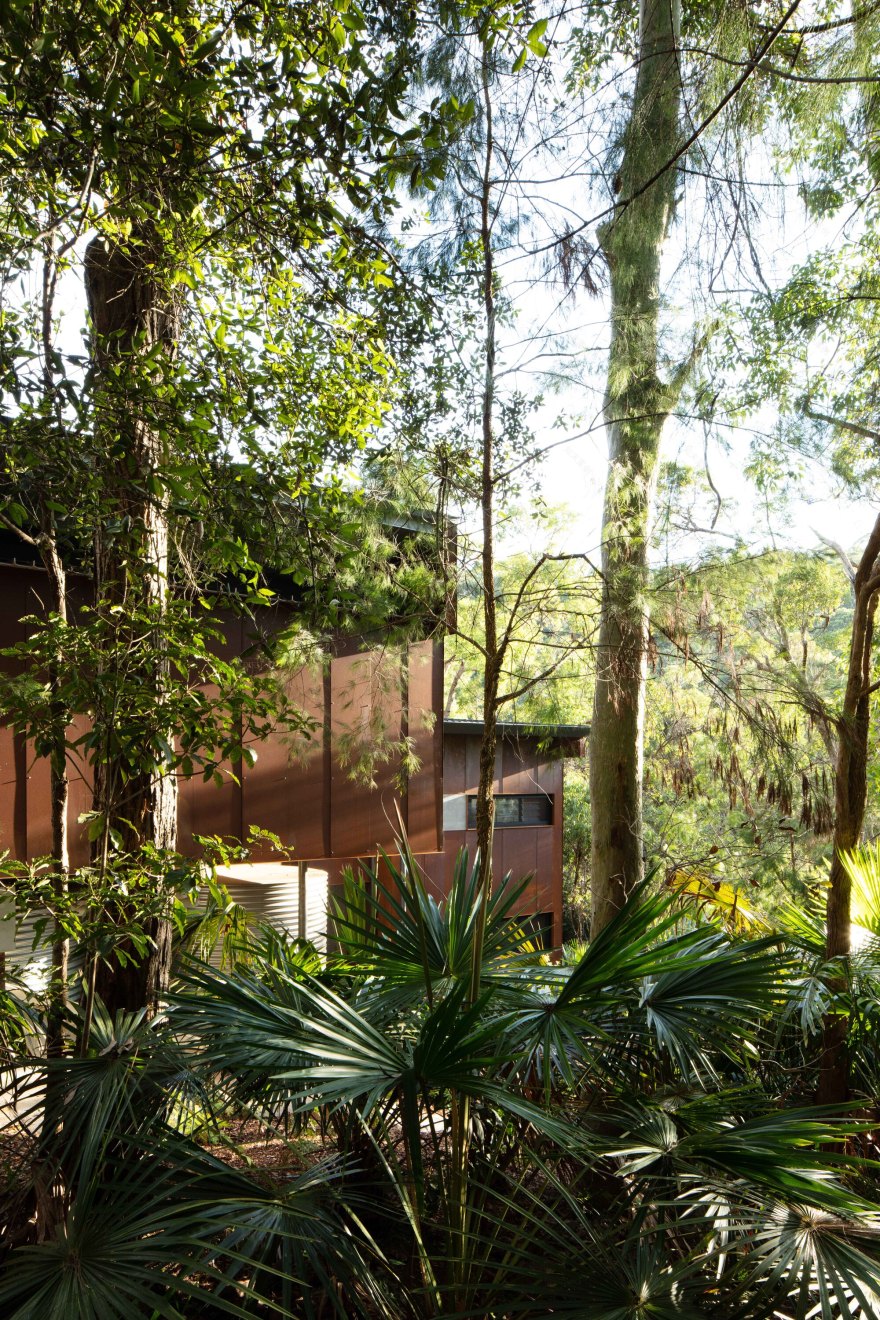 树屋丨澳大利亚悉尼丨Incidental Architecture-14