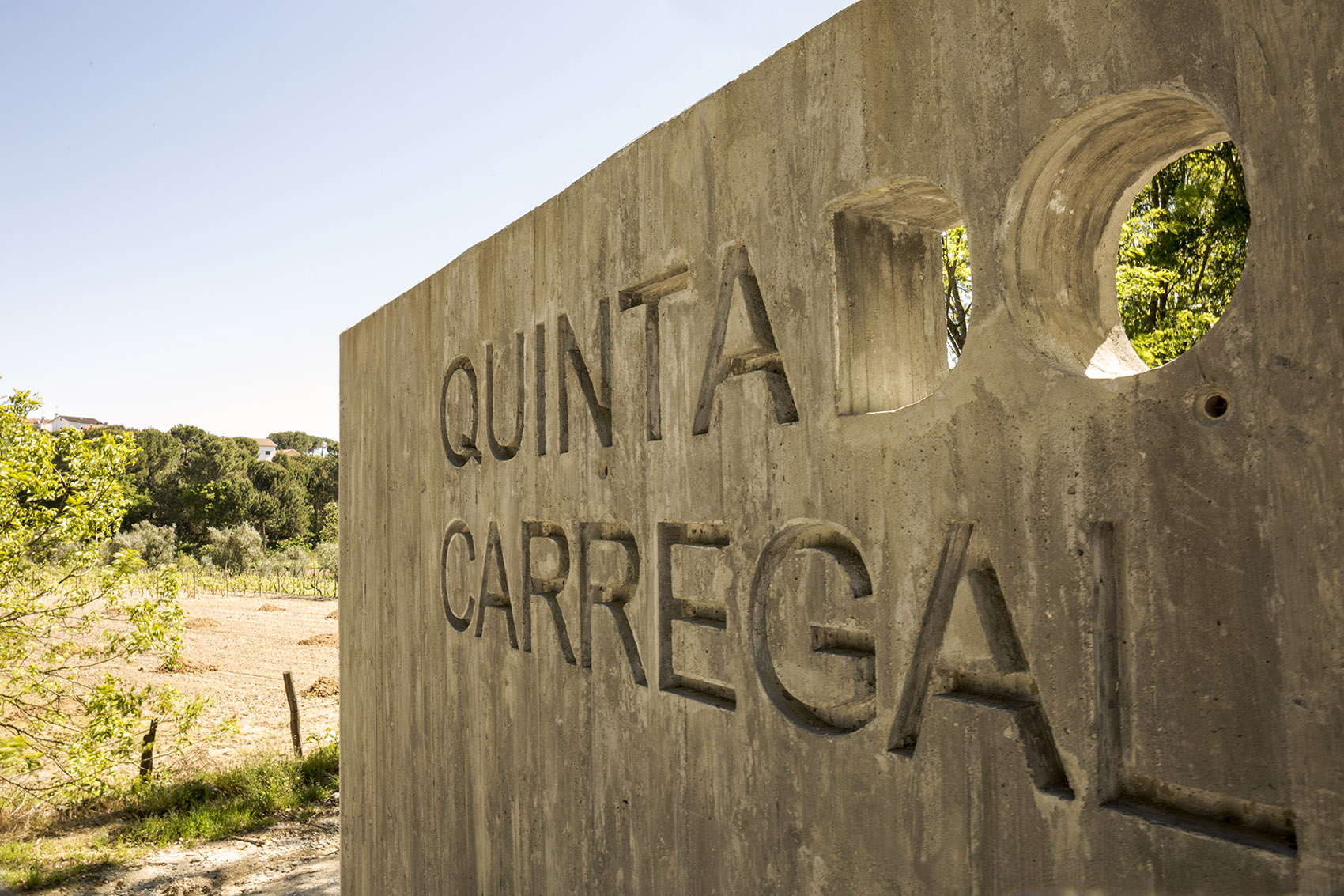 隐于自然的混凝土住宅,葡萄牙/ waataa-28