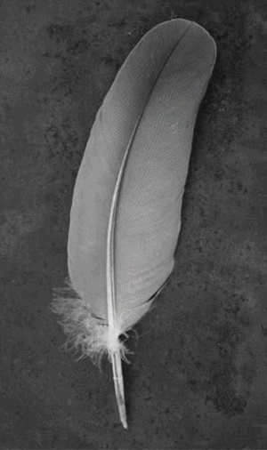 宁德·建发天行连城公馆售楼处丨中国宁德丨壹新设计-0