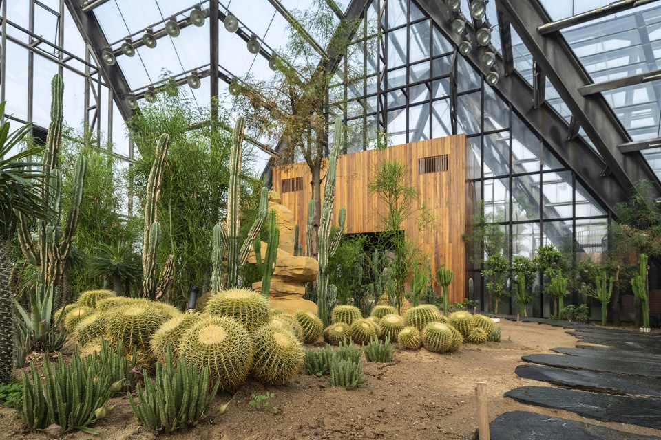 衡水植物园温室展览馆丨中国河北丨空格建筑-43
