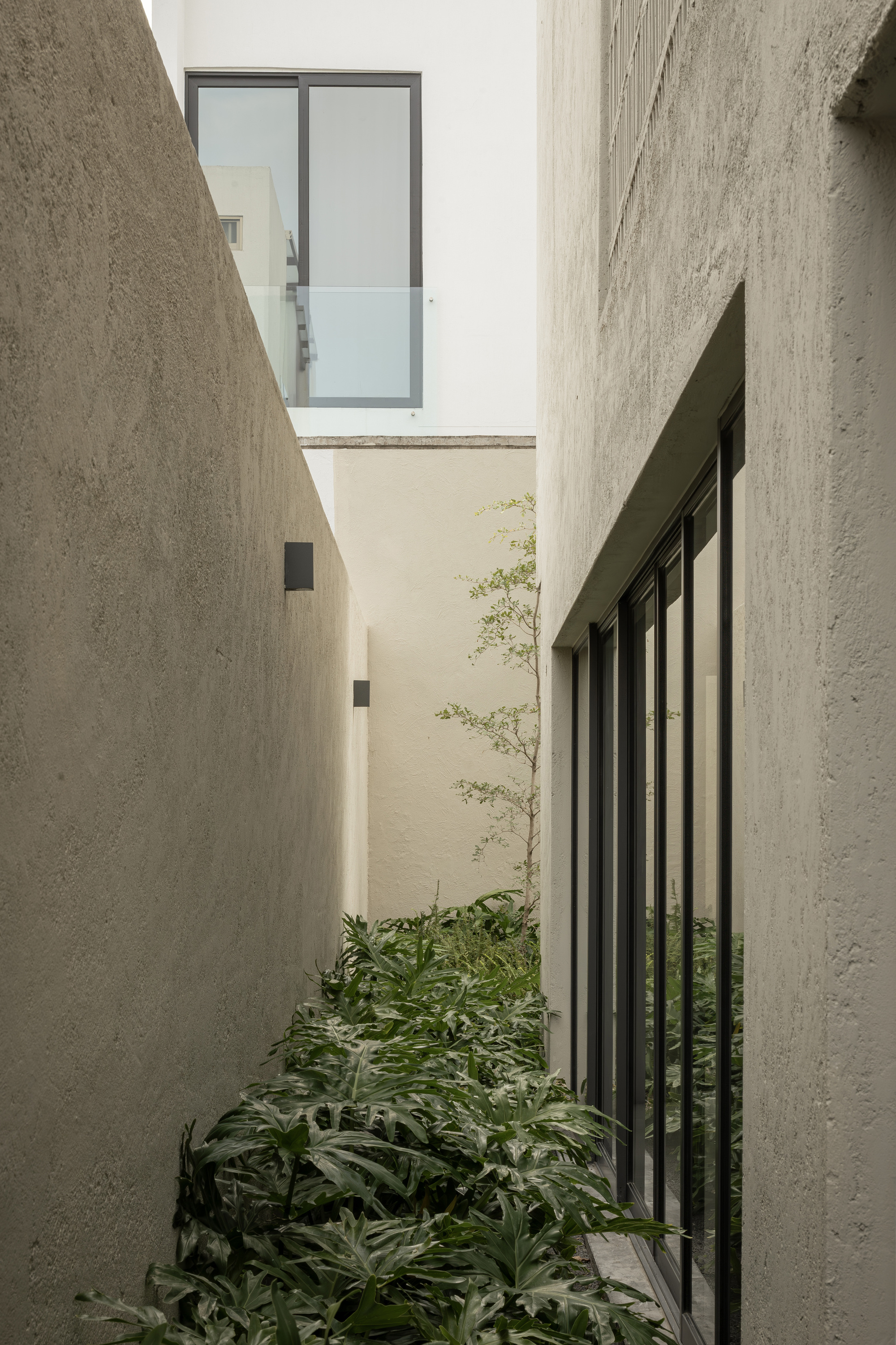 瓦拉塔森林别墅丨墨西哥丨Díaz Webster Arquitectura-25