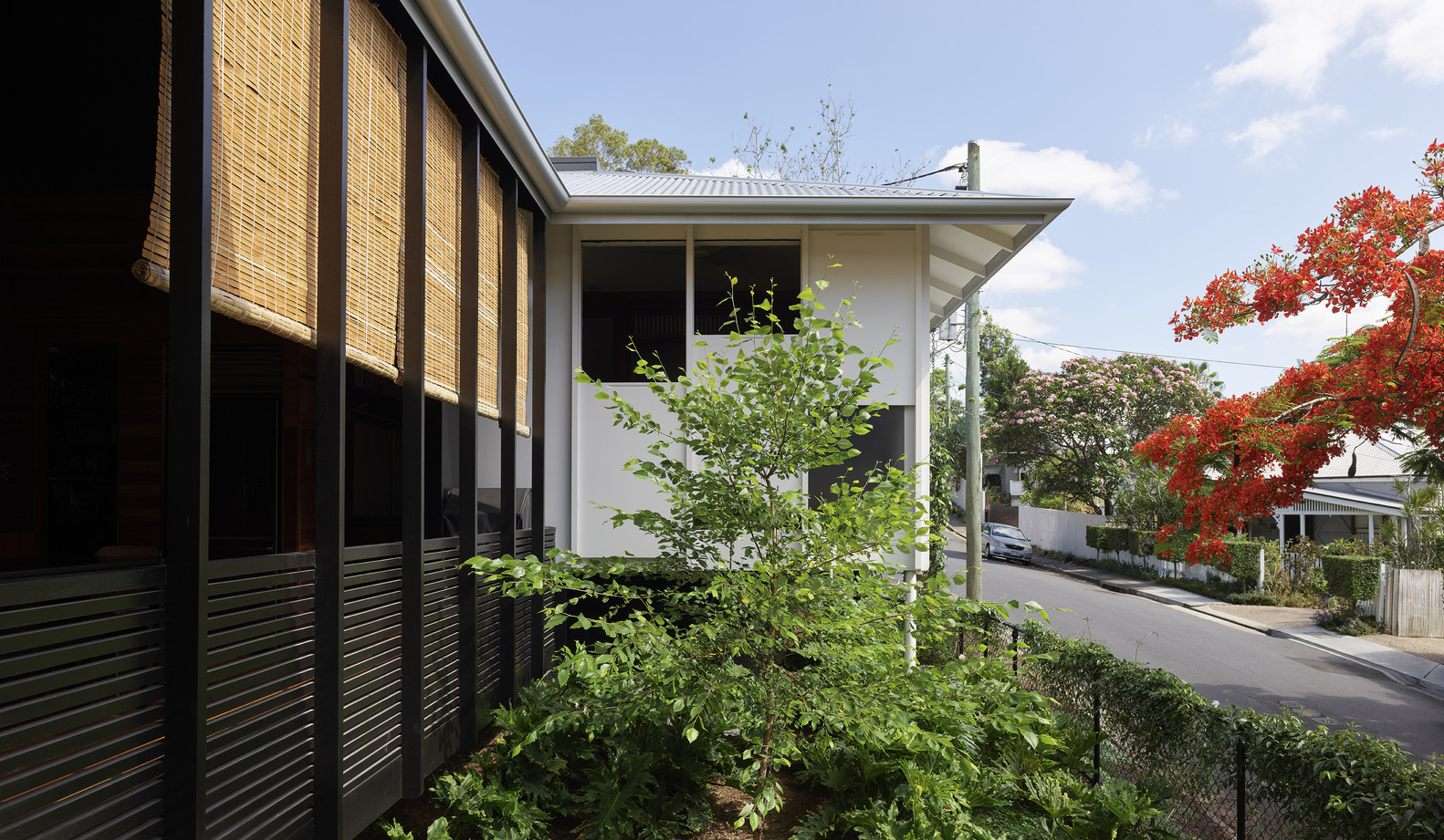 澳大利亚三层住宅丨约翰·艾尔威-8