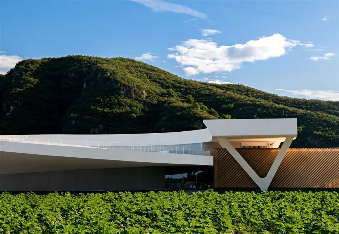 田岗艺术中心丨中国河北丨袈蓝建筑-40