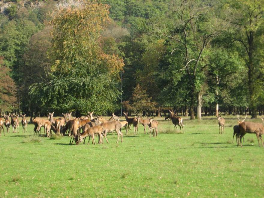 Vizille领地公园丨法国-10