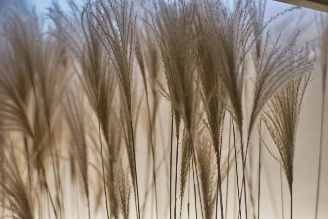 杭州"之间"出租房设计,打造温暖共享空间-74