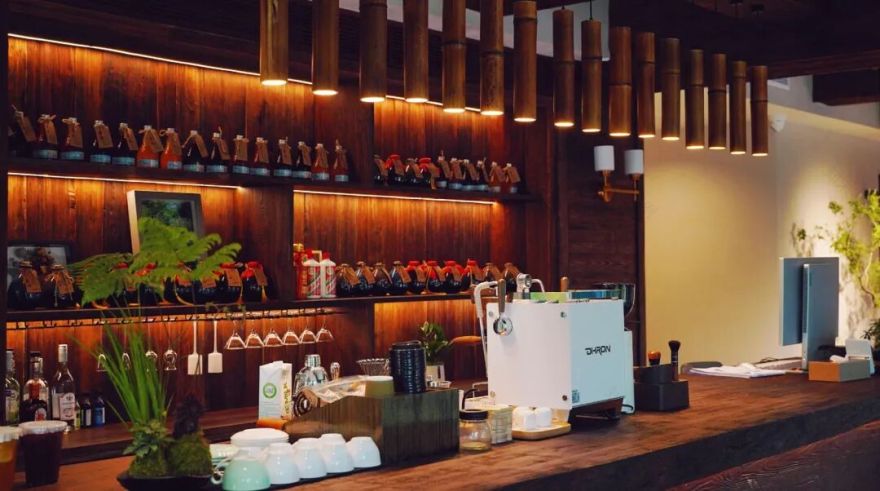 森・LOVE度假村盛大开业,集团创始人徐凯宏亲启千年古树秘境-57