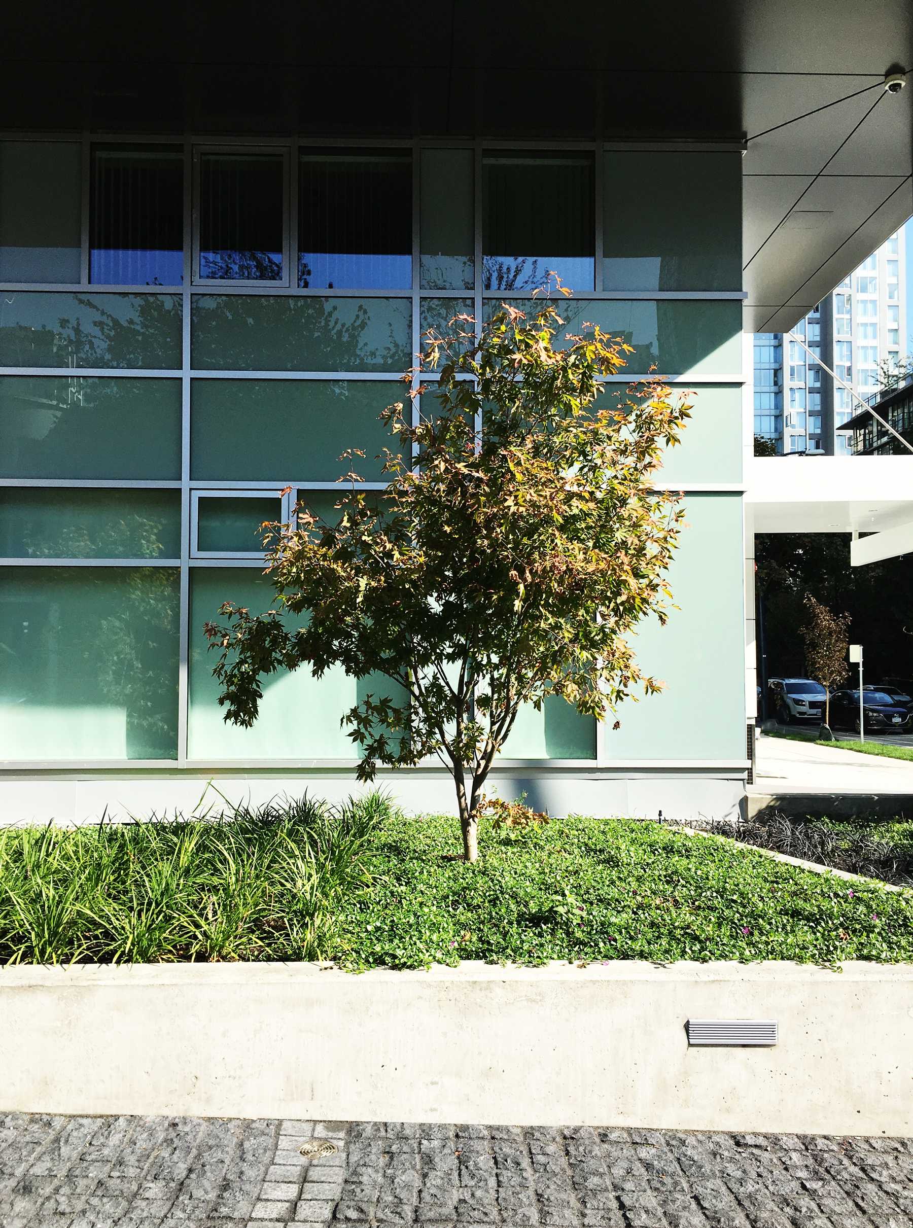 新喜屋住宅区-5