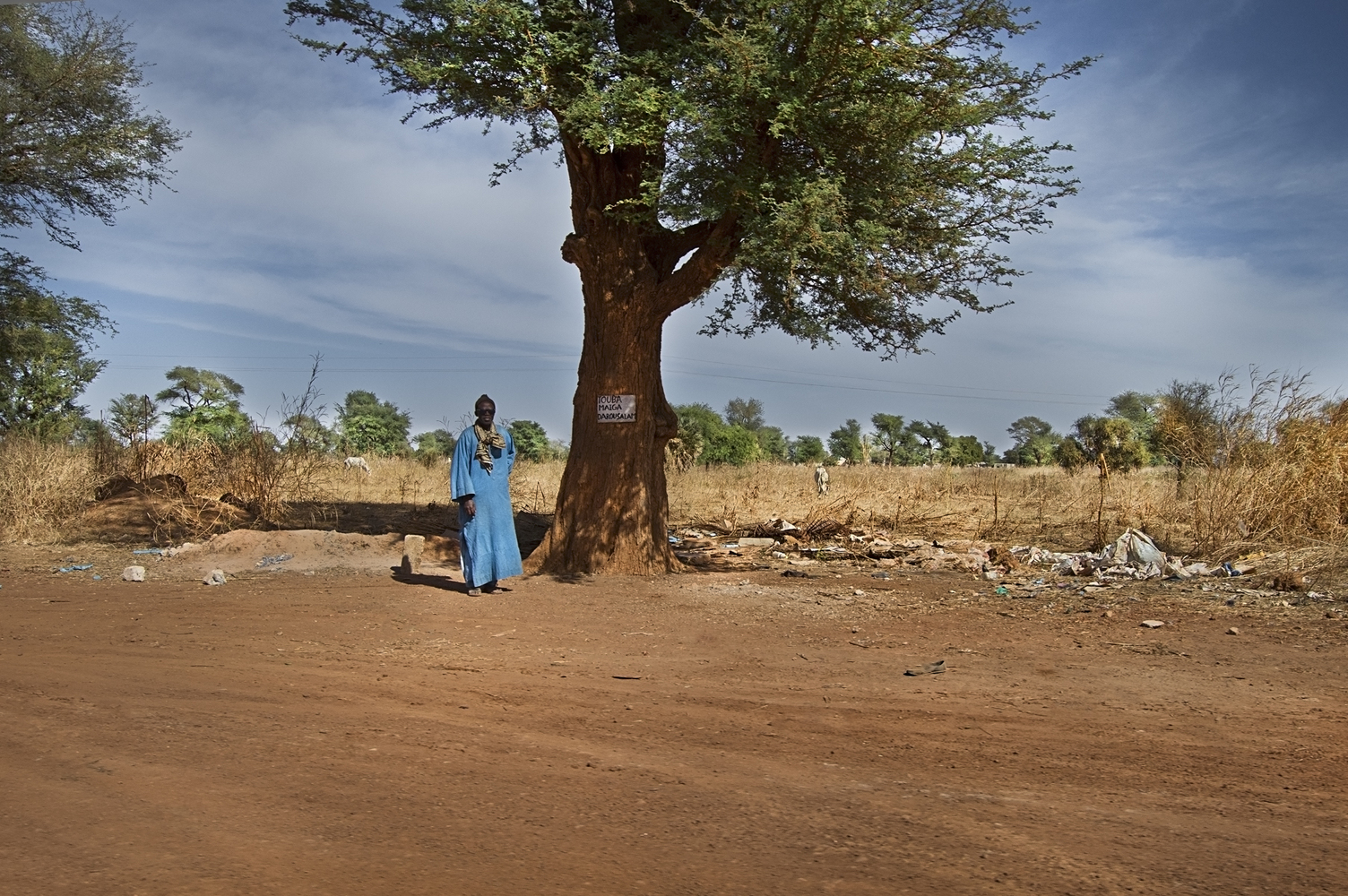 Lecture Building at the Alioune Diop University  IDOM-57