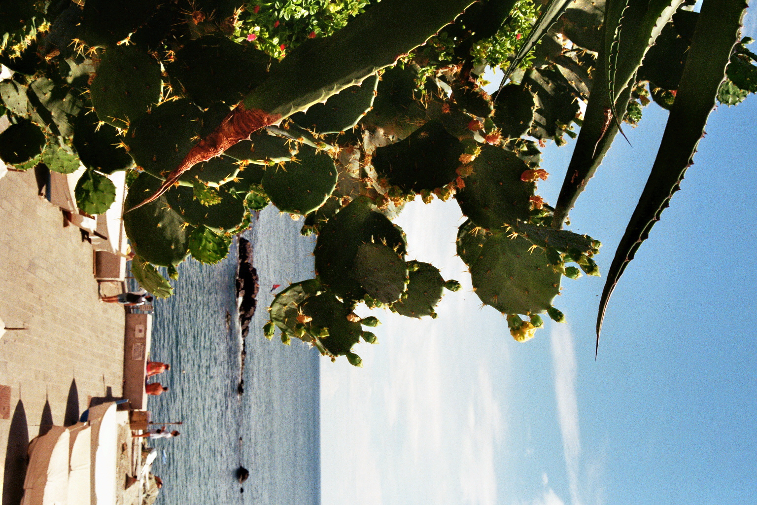 《电影中的热那亚明信片》丨ItalyGenova-3