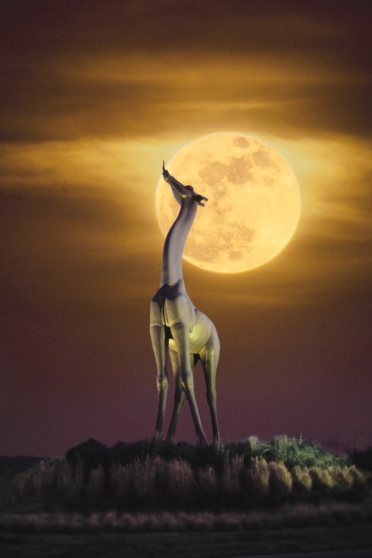 HOTEL INDIGO DOWNTOWN-56