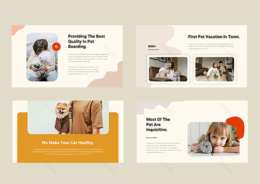 宠物店展示模板-6