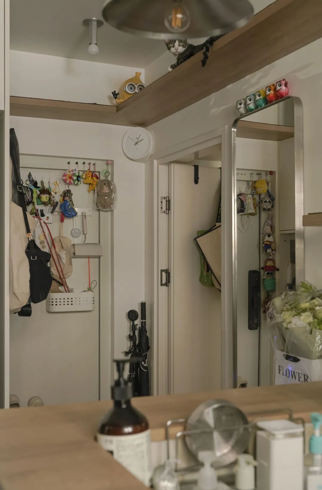 44㎡的治愈宇宙：一人四猫的共生乐园，小户型里的极致温柔-44