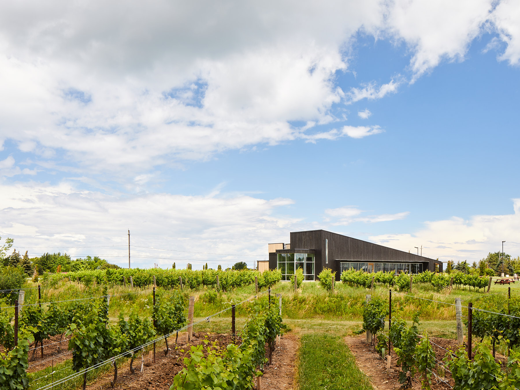 尼亚加拉湖畔葡萄酒庄园零售与品鉴亭-6