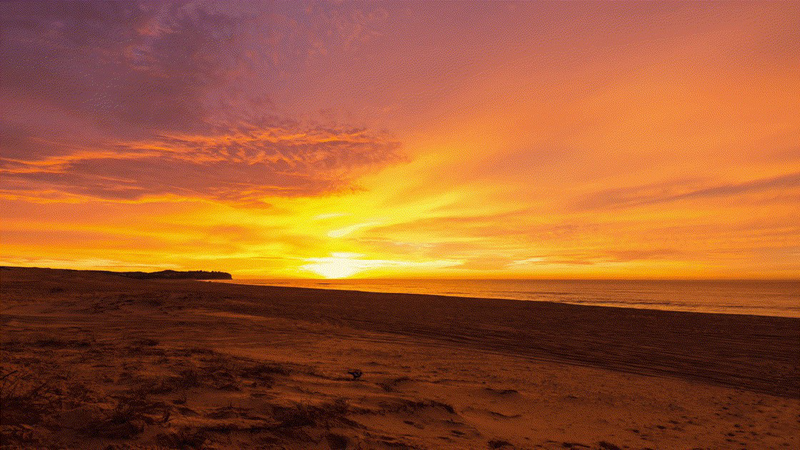 深圳售楼处540m²精致设计-0