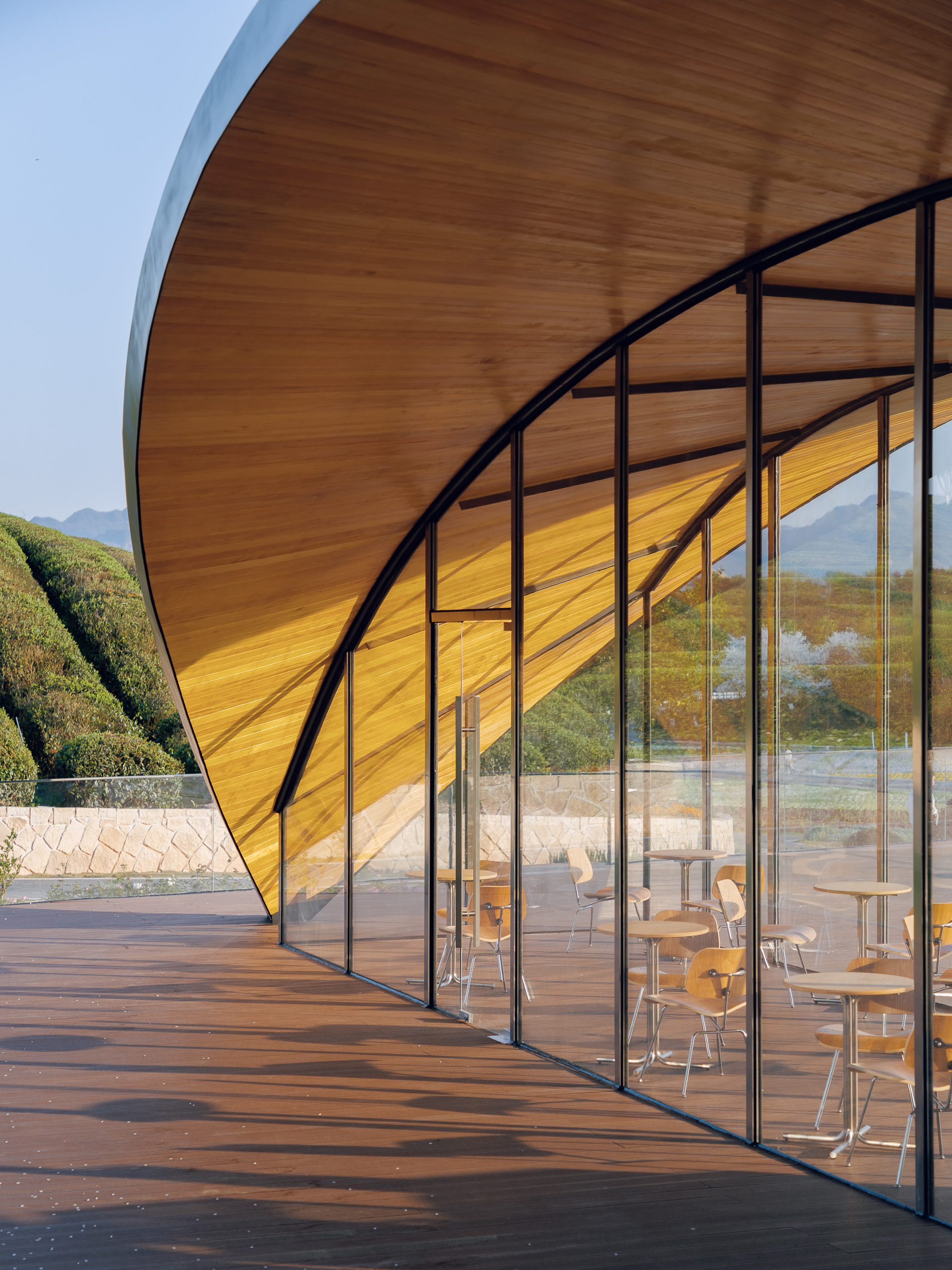 KFS | One-leaf coffee-5