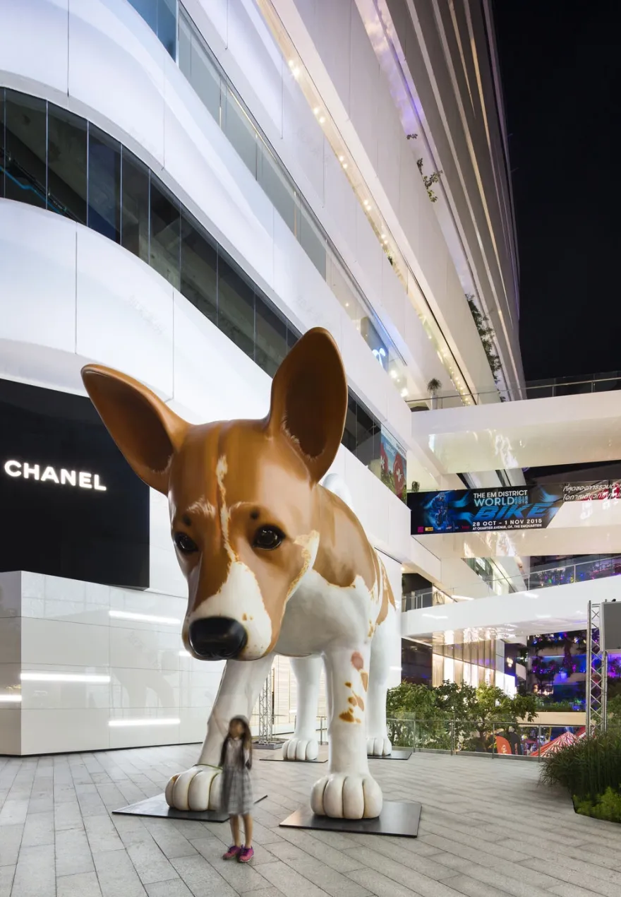 艾莫卡迪尔丨泰国曼谷丨BOIFFILS Architectures-12