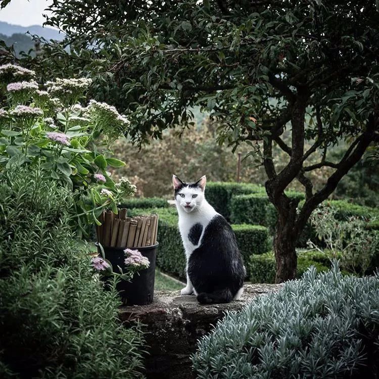 意大利千年古堡改造成奢华酒店,领略中世纪魅力-117