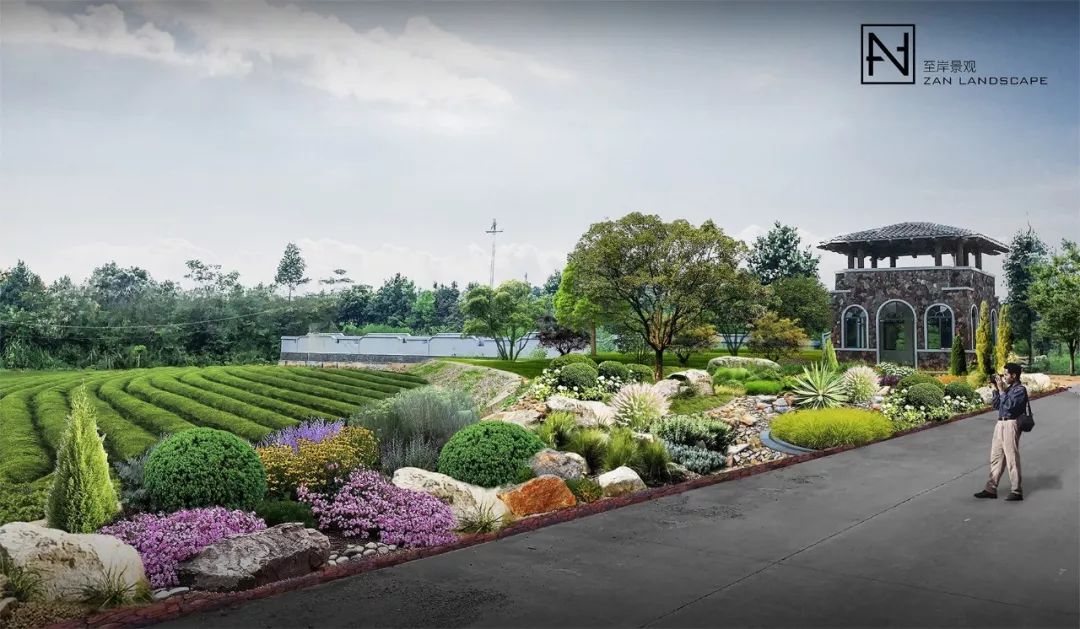 英德红茶小镇头采节展示区 -15