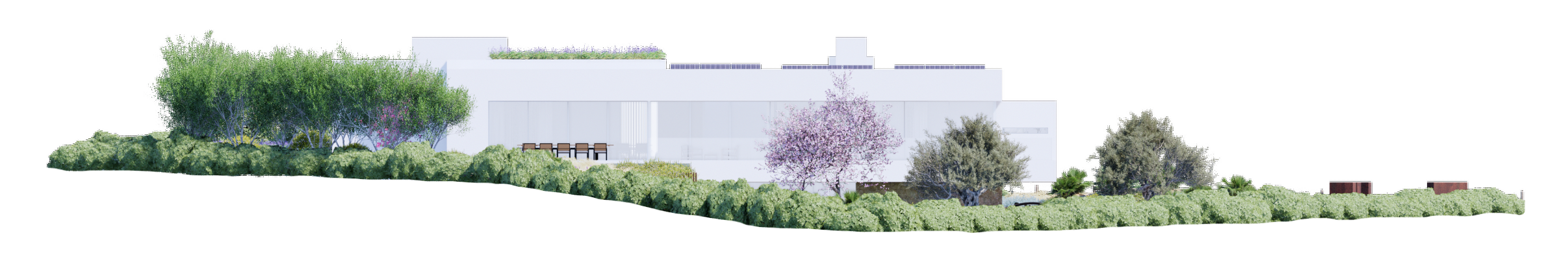 帕尔马雷斯（奥迪埃雷）-8