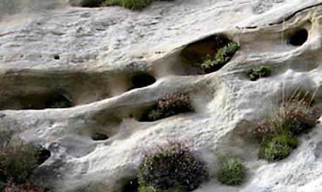 边城博物馆 | 自然与城市的边界交融-11