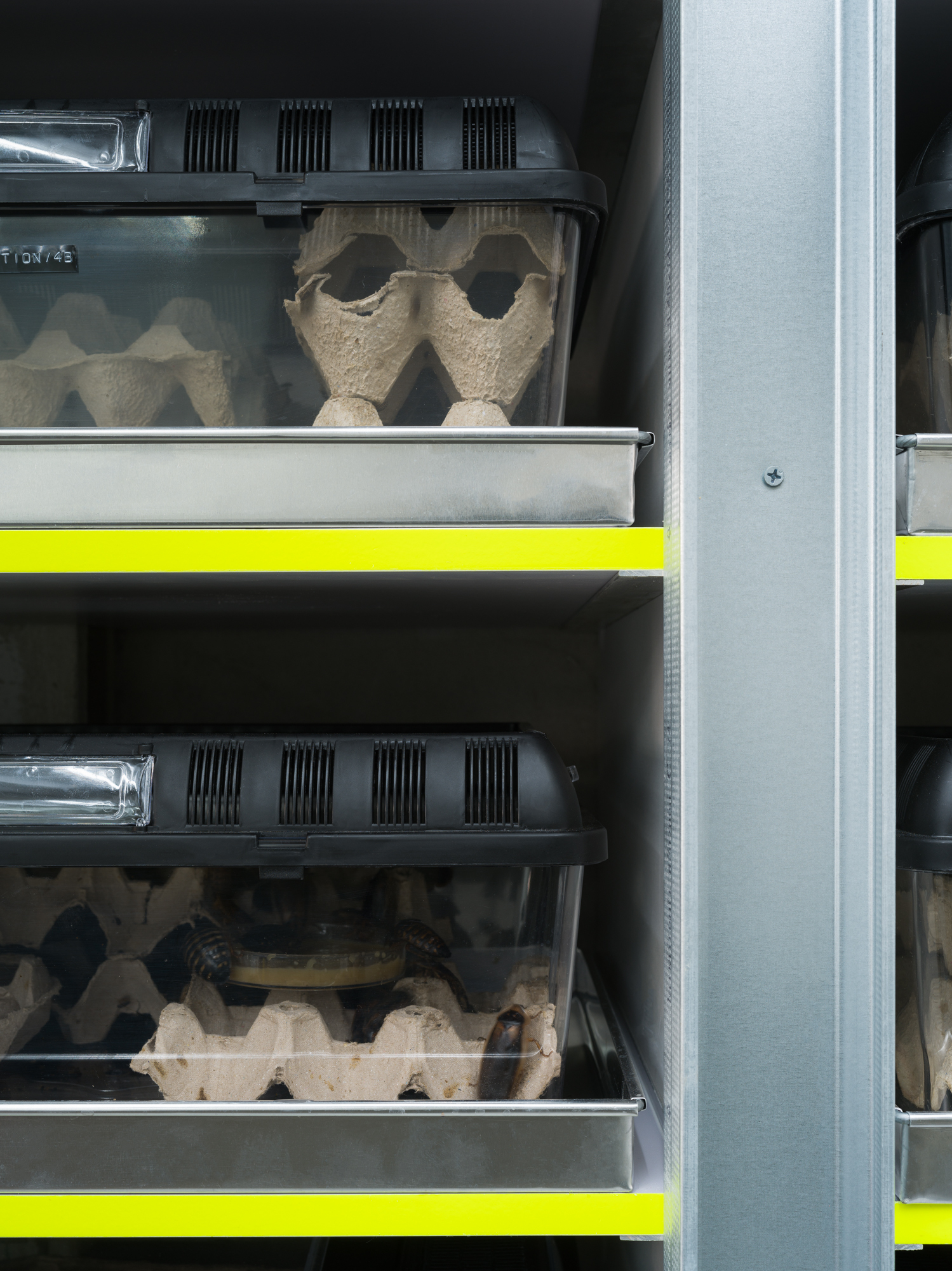 Exofood Retail and Lab / space+craft-29