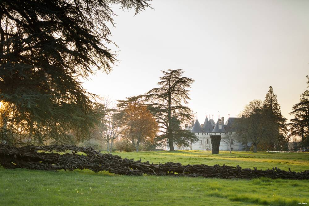 Domain of Chaumont-sur-Loire and International Garden Festival - France-5