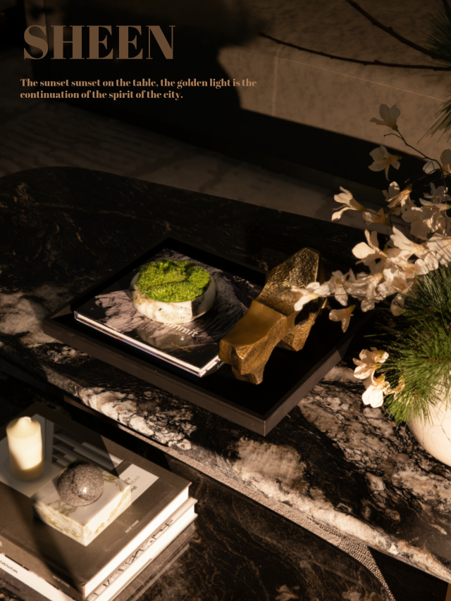 越秀·中寰天悦 售楼处丨中国合肥丨菲洛米斯 PHILOMIS-40