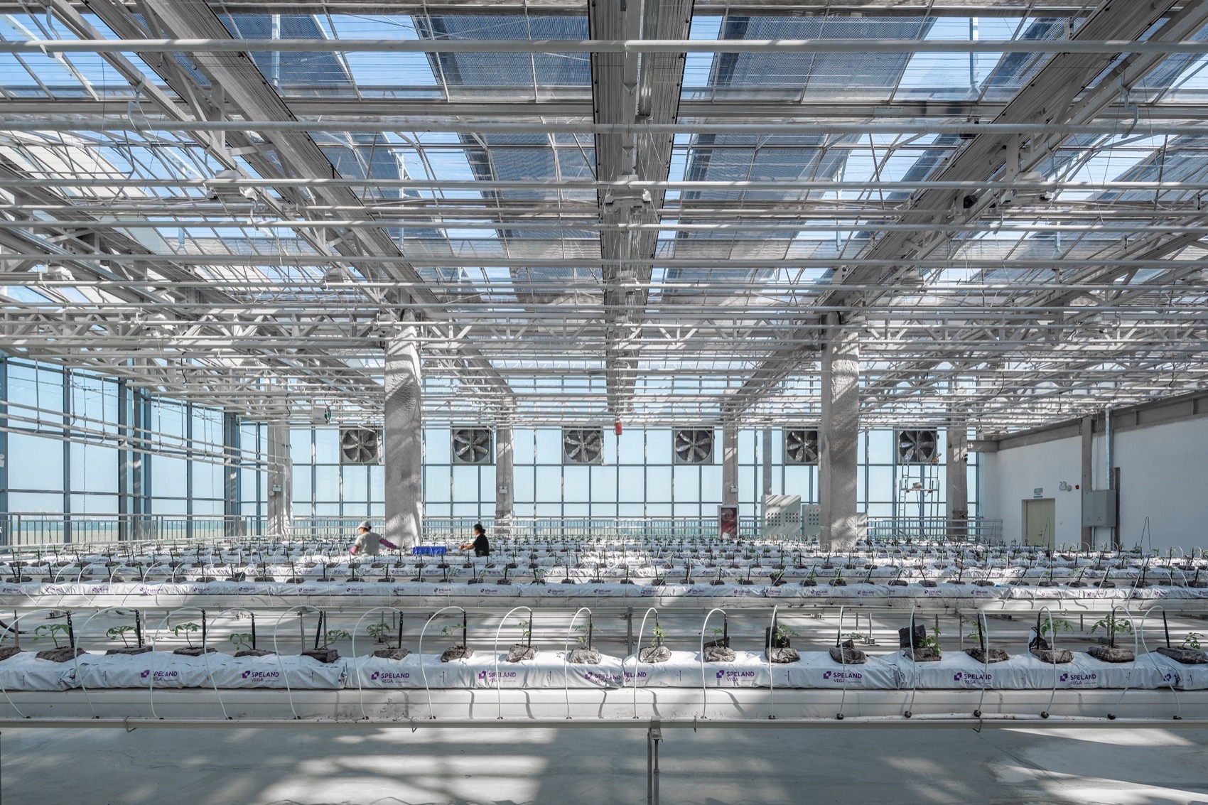 衡水垂直农场丨中国衡水丨van Bergen Kolpa建筑事务所-61